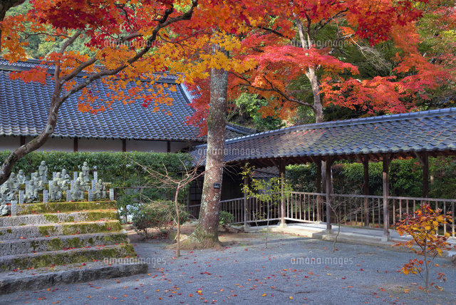 秋の仏通寺
(c)YOSHITSUGU NISHIGAKI/SEBUN PHOTO