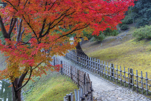 秋の栗林公園
(c)YOSHITSUGU NISHIGAKI/SEBUN PHOTO