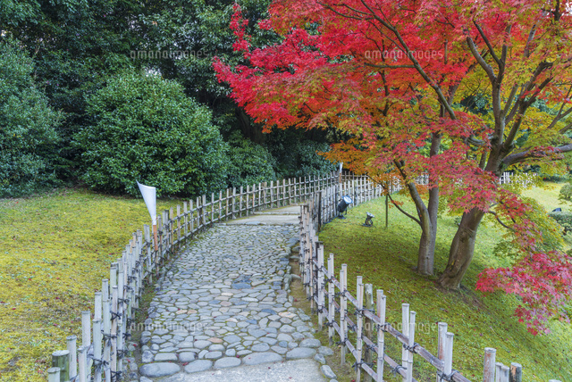 秋の栗林公園
(c)YOSHITSUGU NISHIGAKI/SEBUN PHOTO