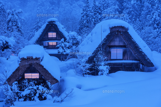 雪の白川郷夜景
(c)YOSHITSUGU NISHIGAKI/SEBUN PHOTO
