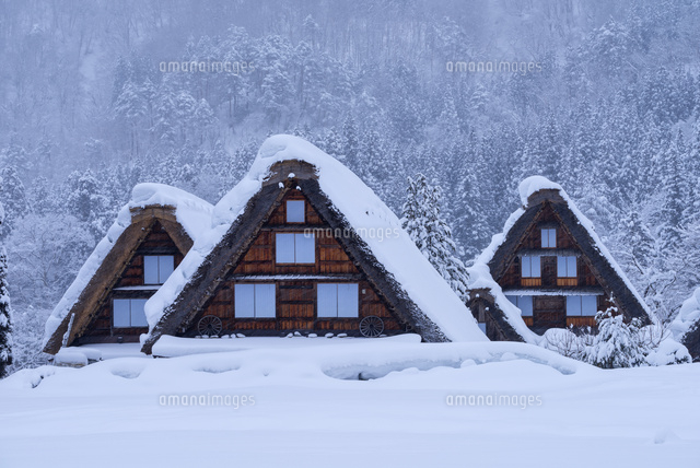 雪の白川郷
(c)YOSHITSUGU NISHIGAKI/SEBUN PHOTO
