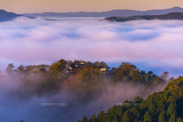 朝の雲海と備中松山城
(c)YOSHITSUGU NISHIGAKI/SEBUN PHOTO