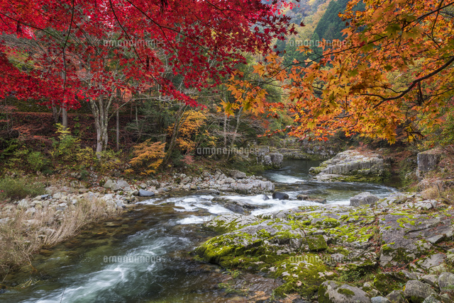 紅葉の奥津渓
(c)YOSHITSUGU NISHIGAKI/SEBUN PHOTO