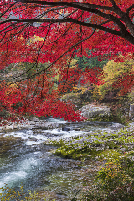 紅葉の奥津渓
(c)YOSHITSUGU NISHIGAKI/SEBUN PHOTO