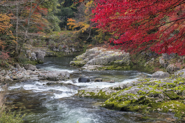紅葉の奥津渓
(c)YOSHITSUGU NISHIGAKI/SEBUN PHOTO