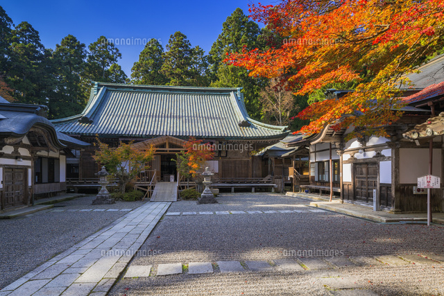 秋の比叡山延暦寺
(c)YOSHITSUGU NISHIGAKI/SEBUN PHOTO