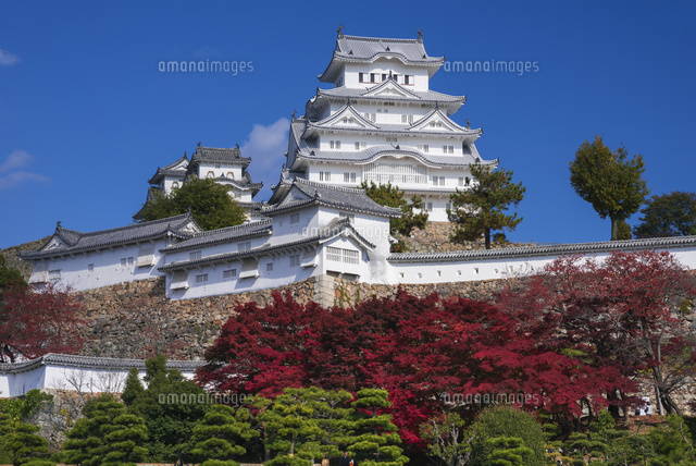 秋の姫路城
(c)YOSHITSUGU NISHIGAKI/SEBUN PHOTO