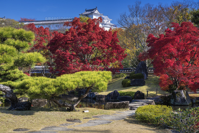 秋の好古園より姫路城
(c)YOSHITSUGU NISHIGAKI/SEBUN PHOTO