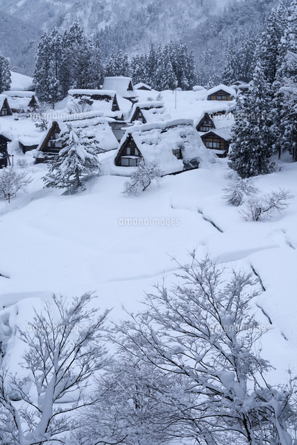雪の五箇山
(c)YOSHITSUGU NISHIGAKI/SEBUN PHOTO