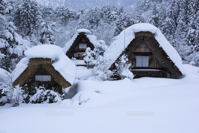 雪の白川郷
(c)YOSHITSUGU NISHIGAKI/SEBUN PHOTO