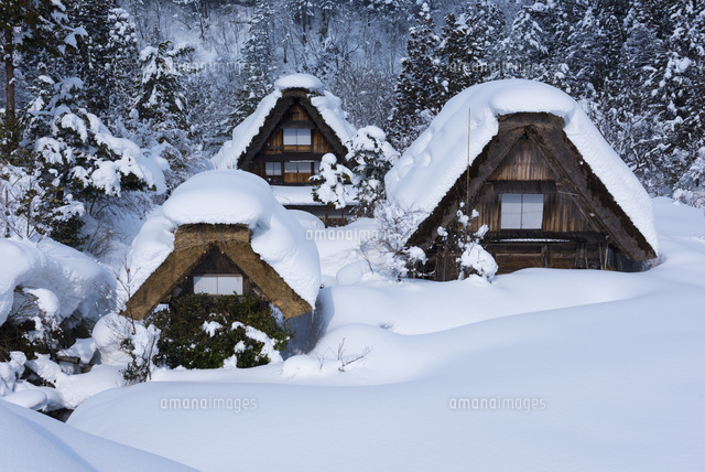 雪の白川郷
(c)YOSHITSUGU NISHIGAKI/SEBUN PHOTO