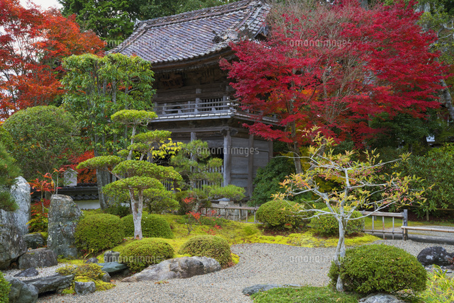 紅葉の普門寺
(c)YOSHITSUGU NISHIGAKI/SEBUN PHOTO