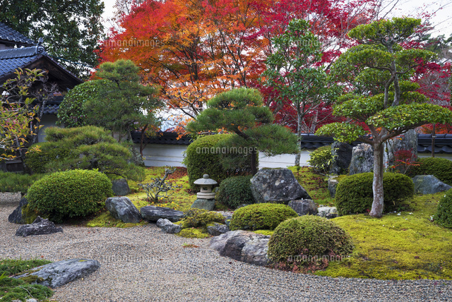 紅葉の普門寺
(c)YOSHITSUGU NISHIGAKI/SEBUN PHOTO
