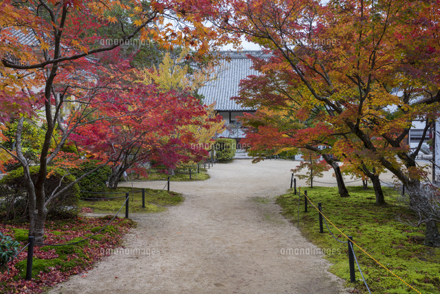 秋の宝福寺
(c)YOSHITSUGU NISHIGAKI/SEBUN PHOTO