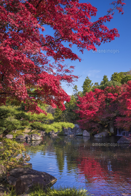 秋の好古園
(c)YOSHITSUGU NISHIGAKI/SEBUN PHOTO
