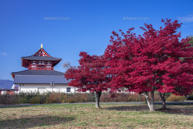 秋の平城宮跡
(c)YOSHITSUGU NISHIGAKI/SEBUN PHOTO