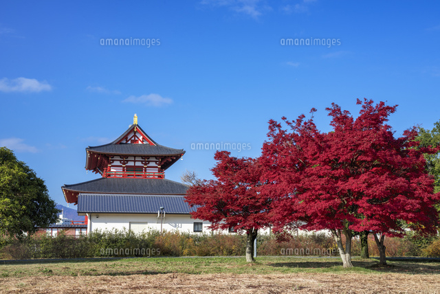 秋の平城宮跡
(c)YOSHITSUGU NISHIGAKI/SEBUN PHOTO