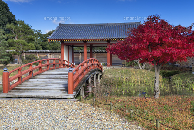 秋の平城宮跡
(c)YOSHITSUGU NISHIGAKI/SEBUN PHOTO
