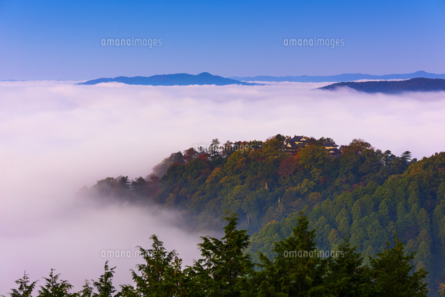 朝の雲海と備中松山城
(c)YOSHITSUGU NISHIGAKI/SEBUN PHOTO