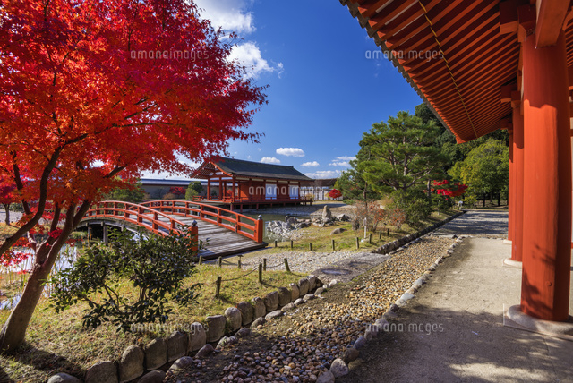 秋の平城宮跡
(c)YOSHITSUGU NISHIGAKI/SEBUN PHOTO