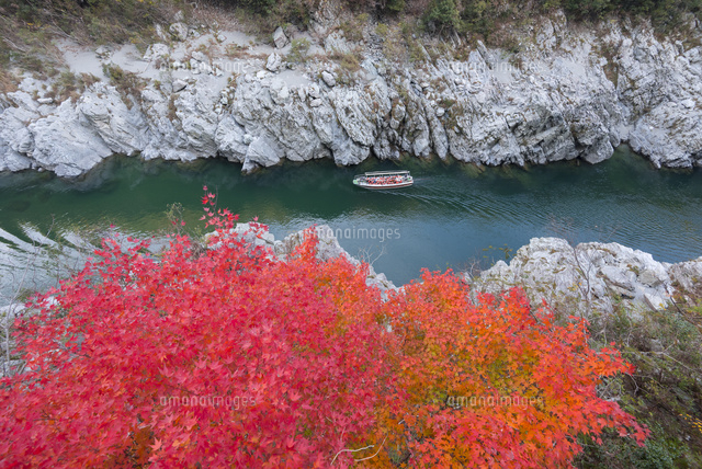 紅葉の大歩危峡
(c)YOSHITSUGU NISHIGAKI/SEBUN PHOTO