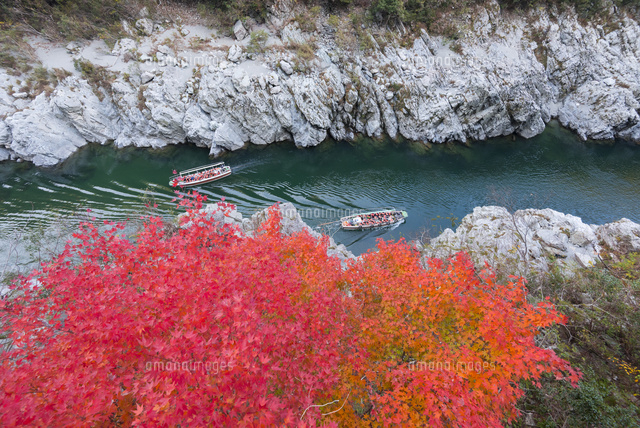 紅葉の大歩危峡
(c)YOSHITSUGU NISHIGAKI/SEBUN PHOTO