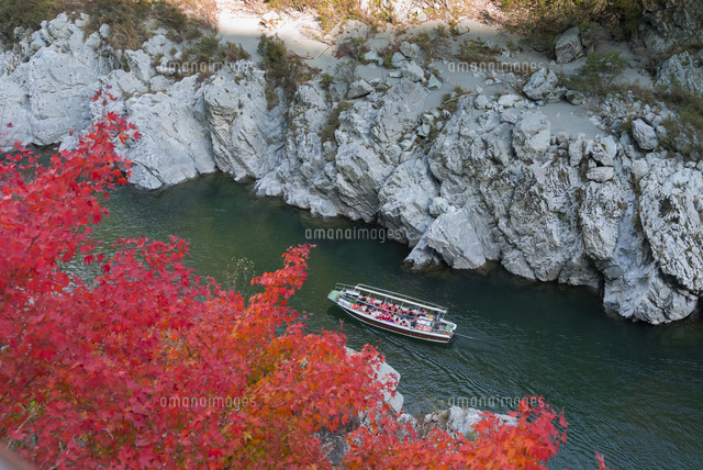 紅葉の大歩危峡
(c)YOSHITSUGU NISHIGAKI/SEBUN PHOTO