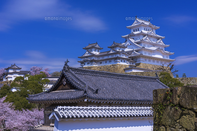 桜咲く姫路城
(c)YOSHITSUGU NISHIGAKI/SEBUN PHOTO