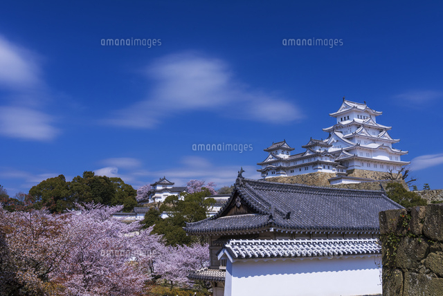 桜咲く姫路城
(c)YOSHITSUGU NISHIGAKI/SEBUN PHOTO