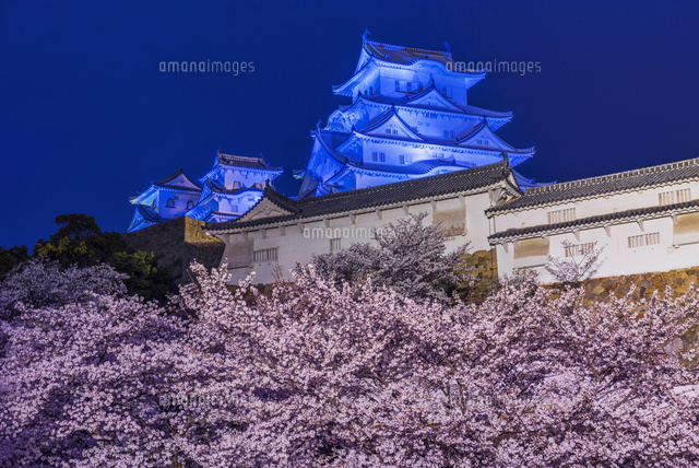 桜咲く姫路城の夜景
(c)YOSHITSUGU NISHIGAKI/SEBUN PHOTO