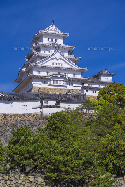 新緑の姫路城
(c)YOSHITSUGU NISHIGAKI/SEBUN PHOTO