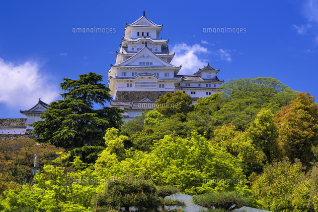 新緑の姫路城
(c)YOSHITSUGU NISHIGAKI/SEBUN PHOTO