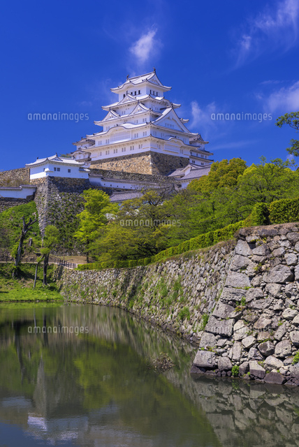 新緑の姫路城
(c)YOSHITSUGU NISHIGAKI/SEBUN PHOTO