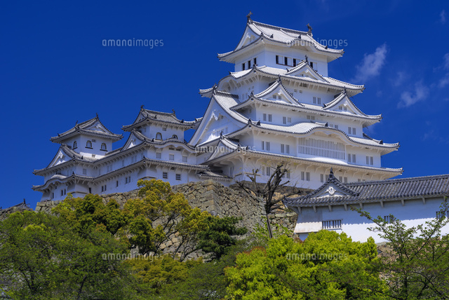 新緑の姫路城
(c)YOSHITSUGU NISHIGAKI/SEBUN PHOTO