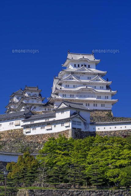 新緑の姫路城
(c)YOSHITSUGU NISHIGAKI/SEBUN PHOTO