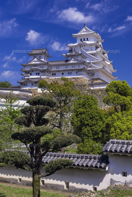 新緑の姫路城
(c)YOSHITSUGU NISHIGAKI/SEBUN PHOTO