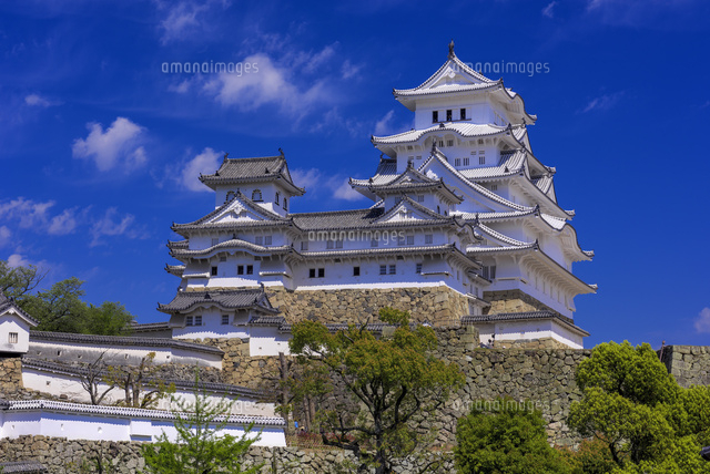 新緑の姫路城
(c)YOSHITSUGU NISHIGAKI/SEBUN PHOTO