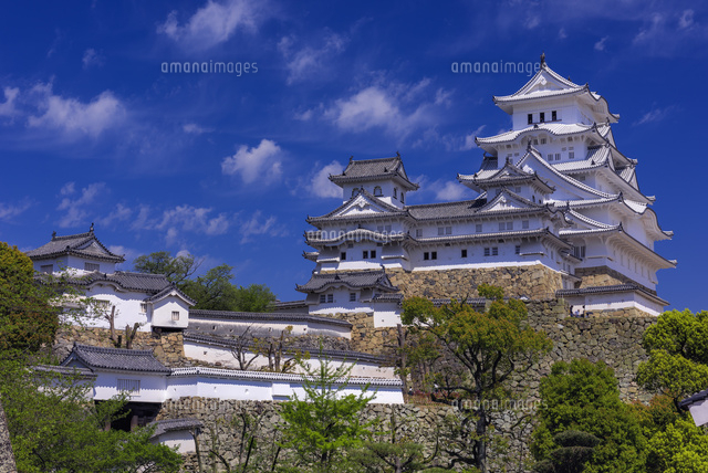 新緑の姫路城
(c)YOSHITSUGU NISHIGAKI/SEBUN PHOTO