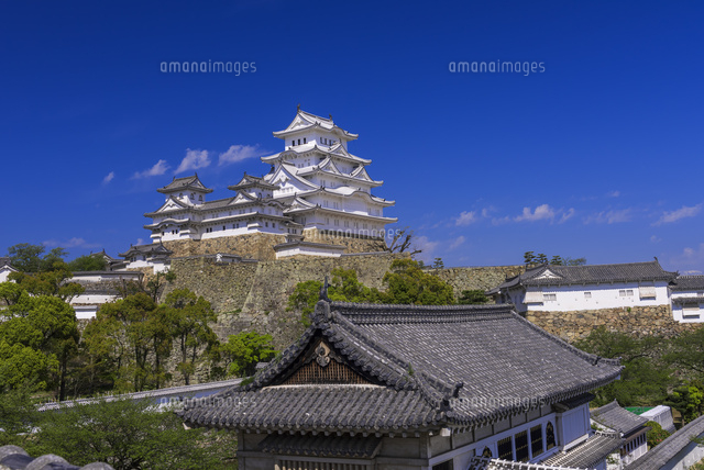 新緑の姫路城
(c)YOSHITSUGU NISHIGAKI/SEBUN PHOTO