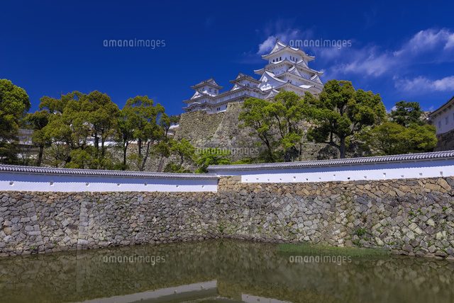 新緑の姫路城
(c)YOSHITSUGU NISHIGAKI/SEBUN PHOTO