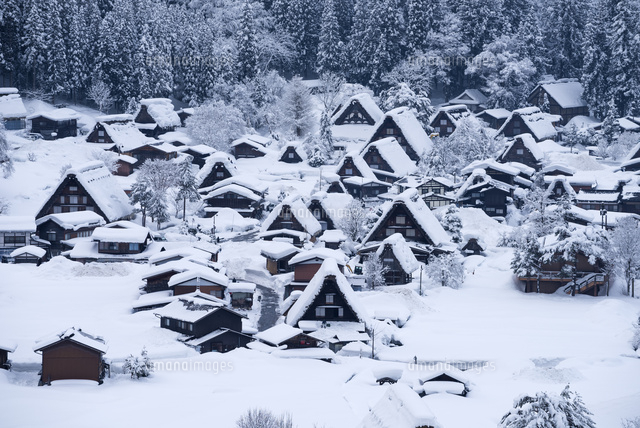 雪の白川郷
(c)YOSHITSUGU NISHIGAKI/SEBUN PHOTO