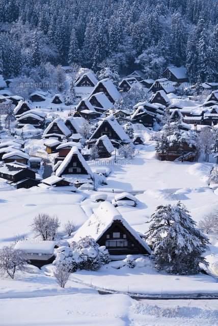 雪の白川郷
(c)YOSHITSUGU NISHIGAKI/SEBUN PHOTO