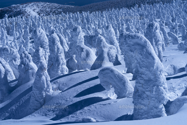 蔵王の樹氷
(c)YOSHITSUGU NISHIGAKI/SEBUN PHOTO