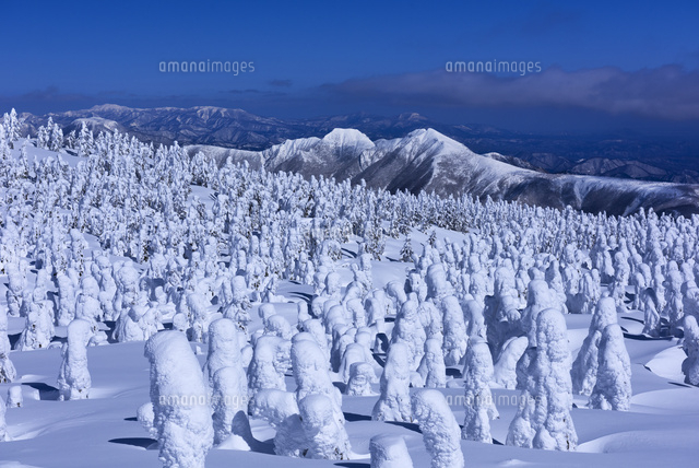 蔵王の樹氷
(c)YOSHITSUGU NISHIGAKI/SEBUN PHOTO