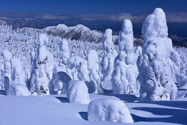 蔵王の樹氷
(c)YOSHITSUGU NISHIGAKI/SEBUN PHOTO