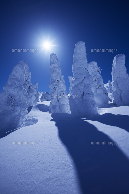 蔵王の樹氷
(c)YOSHITSUGU NISHIGAKI/SEBUN PHOTO
