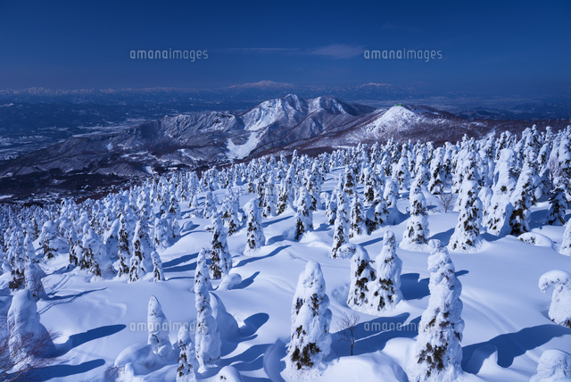 蔵王の樹氷
(c)YOSHITSUGU NISHIGAKI/SEBUN PHOTO