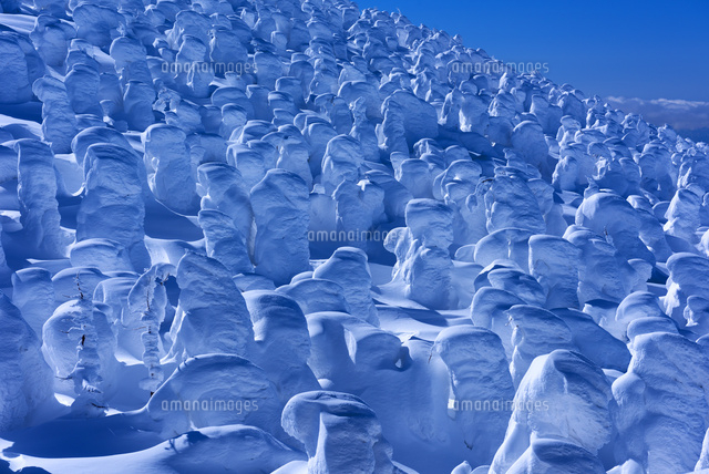 蔵王の樹氷
(c)YOSHITSUGU NISHIGAKI/SEBUN PHOTO