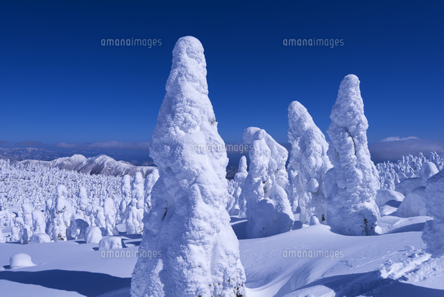 蔵王の樹氷
(c)YOSHITSUGU NISHIGAKI/SEBUN PHOTO