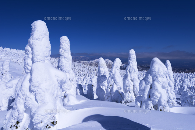 蔵王の樹氷
(c)YOSHITSUGU NISHIGAKI/SEBUN PHOTO